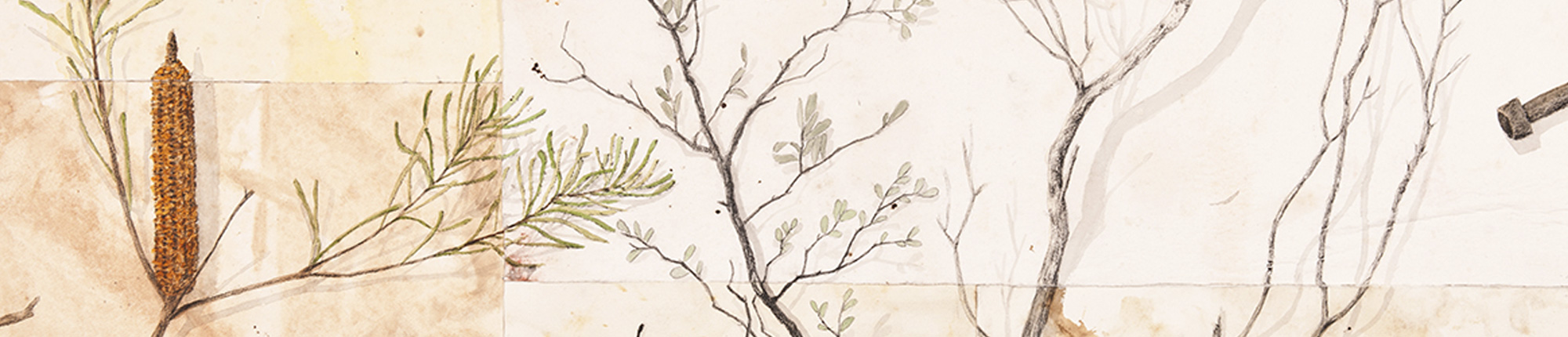 Banner 1